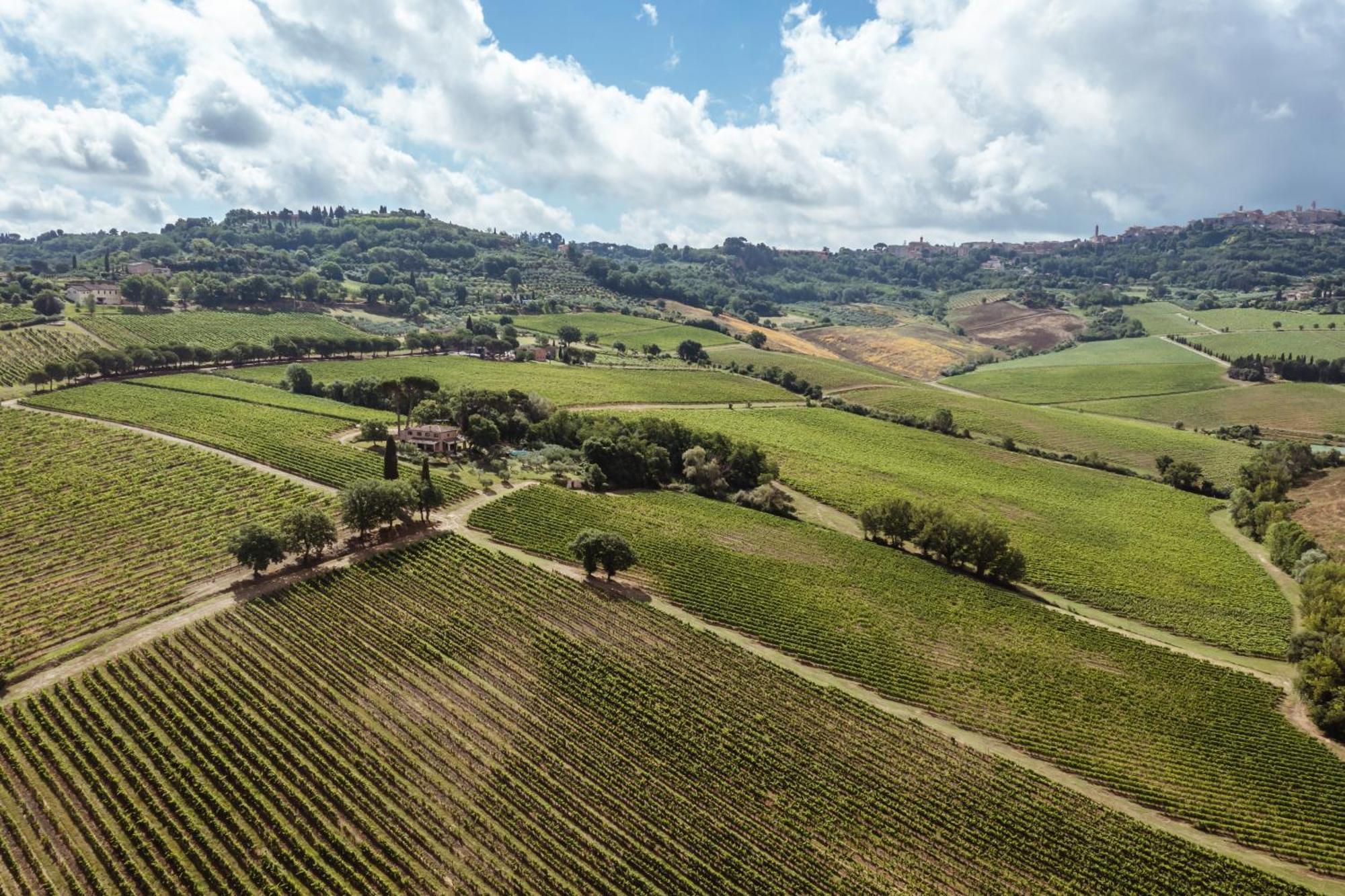 Villa Talosa Montepulciano Stazione Εξωτερικό φωτογραφία